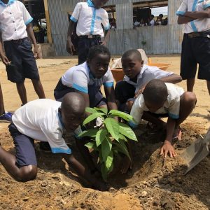 Greening Africa Together