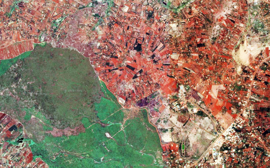 Reafforestation for CO2 compensation and promote sustainable agriculture