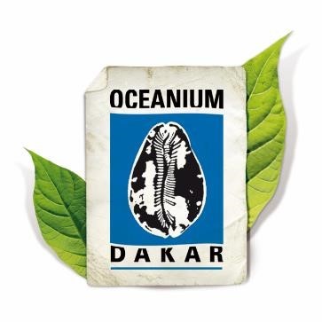 OCEANIUM Logo